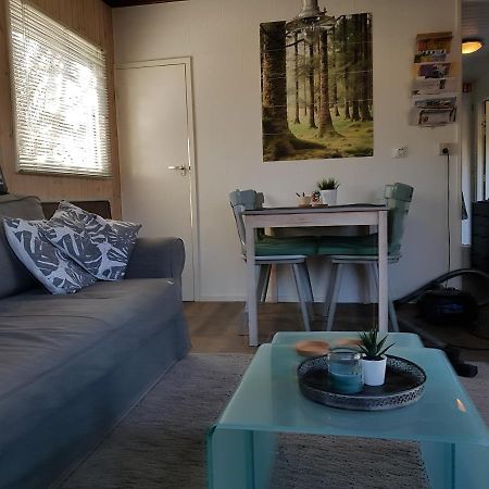 Chalet Gaasterland Bos-Ijsselmeer 4 Pers. Rijs Zewnętrze zdjęcie